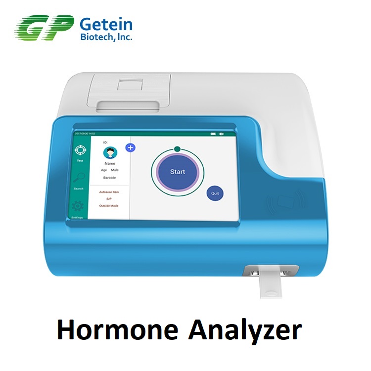 Fissure in Sandstone